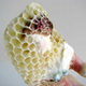 Illustration for article titled An Artist and Her Bees Create Beautiful Honeycomb-Draped Sculptures